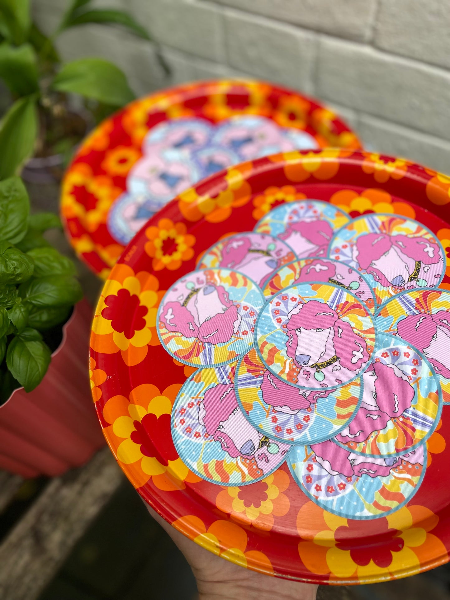 Sticker tissu caniche « POLLY » • série limitée