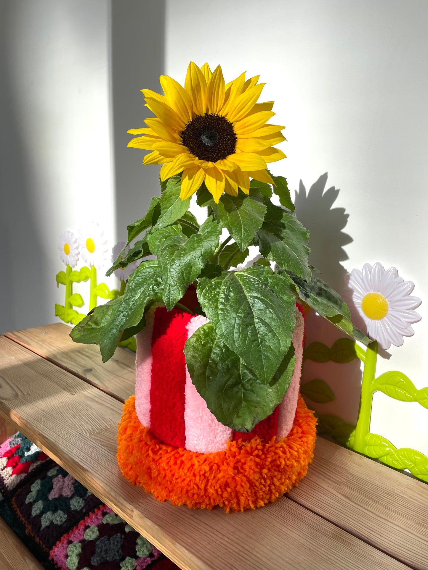 Cache-pot en tufting • MOYEN